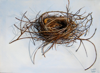 Contemplation: Woven Nest by Susanna Pantas